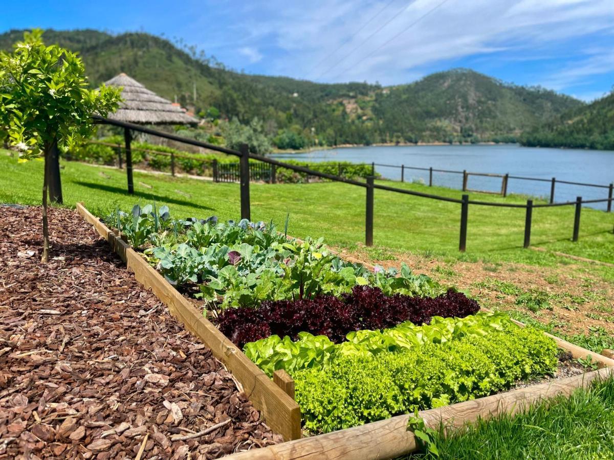 Campos River House Figueiro Dos Vinhos Exterior foto